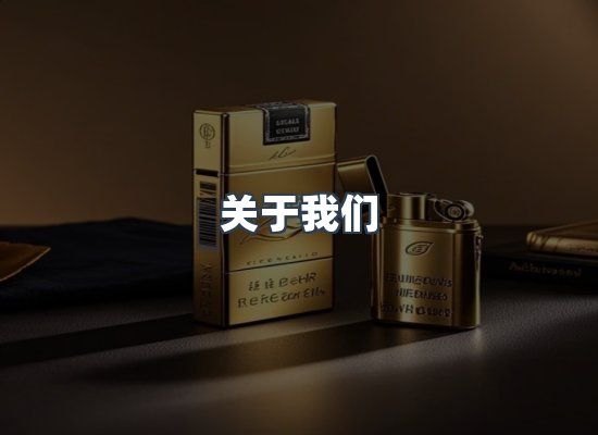 专业团队